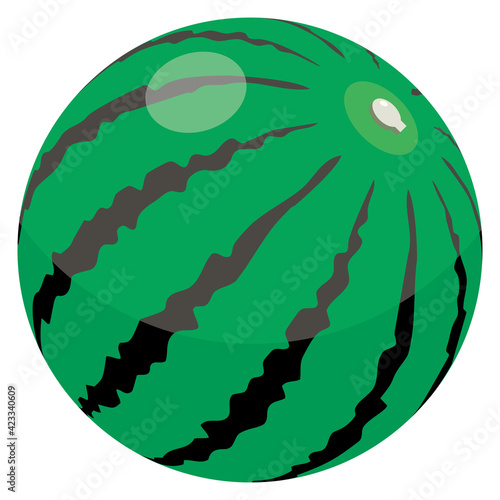 Watermelon beach ball vector illustration スイカのビーチボール