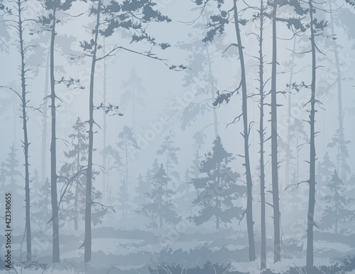 seamless horizontal background with pine forest. Light colors, blue