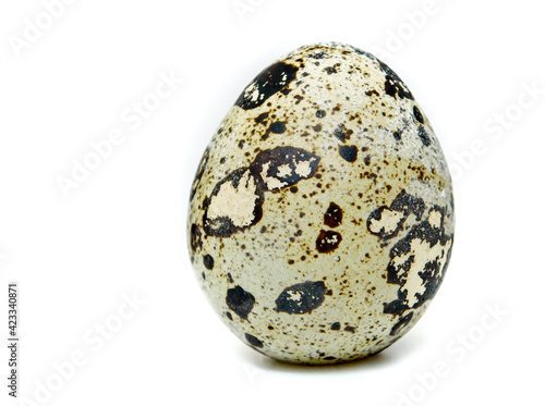 Quail egg on a white background.