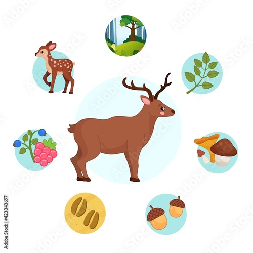 Vector illustration of forest animals. Cute cartoon deer. Set of icons. 