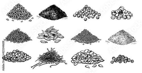 Piles of spices. Black pepper, sesame seeds, poppy seeds, caraway seeds, saffron, marjoram, cumin, cardamom. Spices set. Natural seasoning and cooking ingredient. Vector sketch on white background