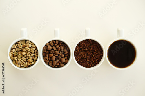 Four stages: raw green, roasted, ground and brewed coffee. White background. Specialty coffee culture concept
