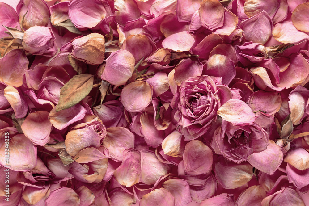 Dried rose flowers, petals, and leaves.