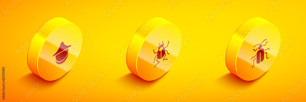 Set Isometric Beekeeper hat, Beetle bug and Chafer beetle icon. Vector Set Isometric Beekeeper hat, Beetle bug and Chafer beetle icon. Vector