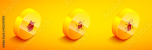 Set Isometric Beekeeper hat, Beetle bug and Chafer beetle icon. Vector