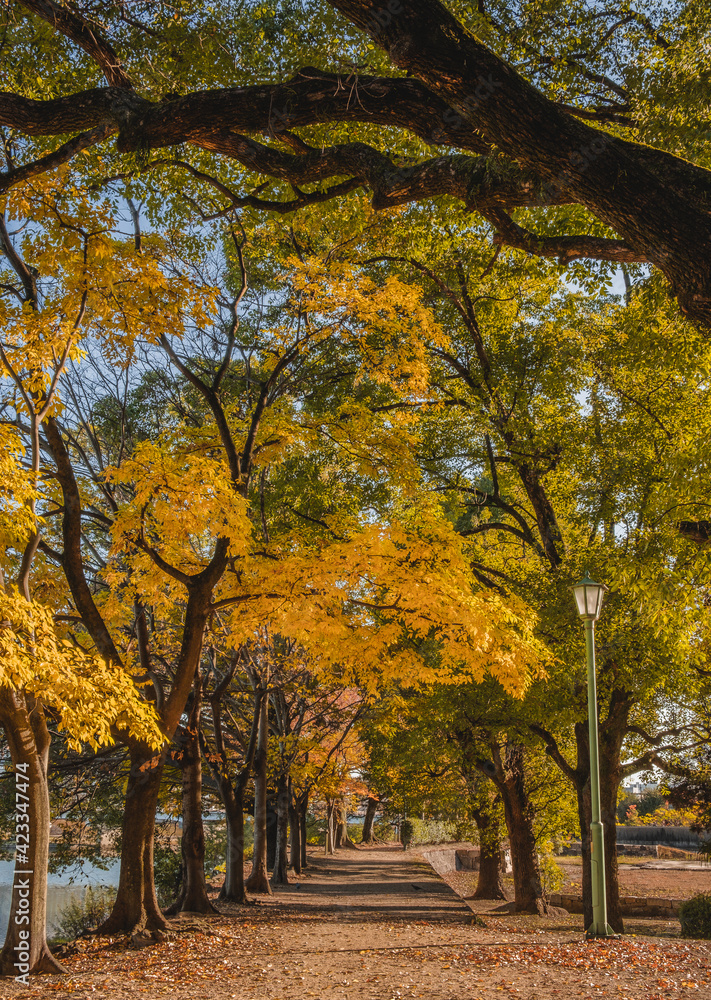 Foliage at Okayama Castle Park