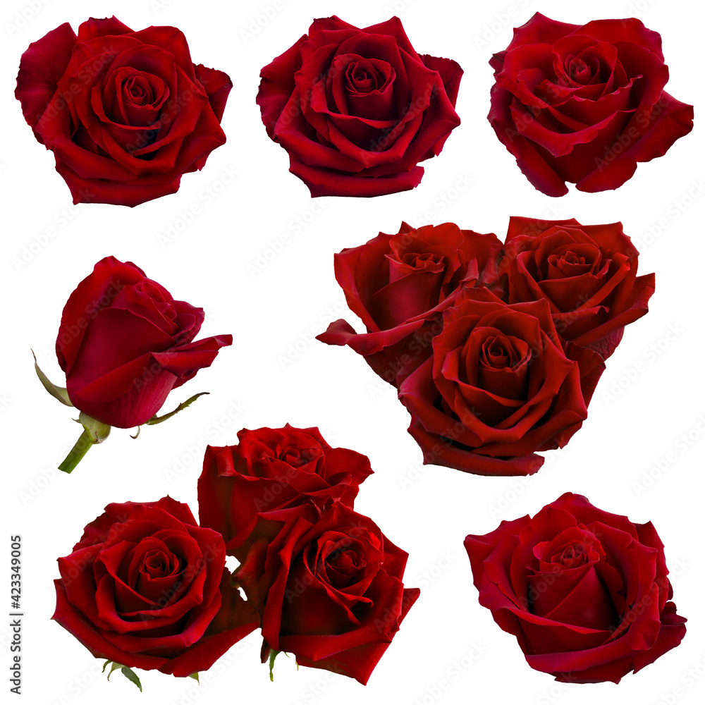 Naklejka premium collage of red roses isolated on white background
