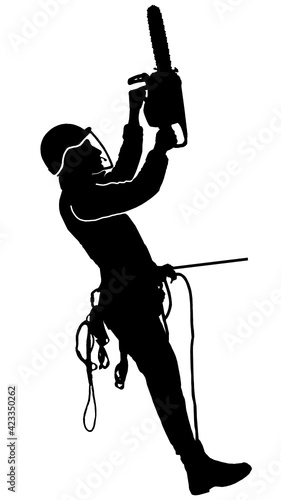 Tree Surgeon sawing a tree