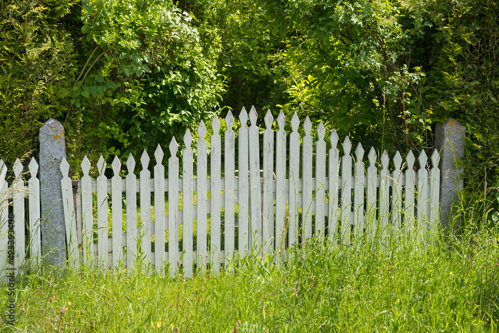 garden door wooden lattice fence, green shrubs and grass