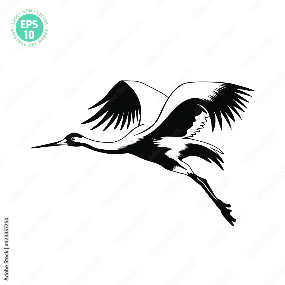 Naklejka premium beautiful crane bird vector illustration