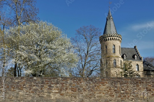 Schlossturm mit weiss blühendem Baum und Steinmauer in Sinzig am Rhein photo