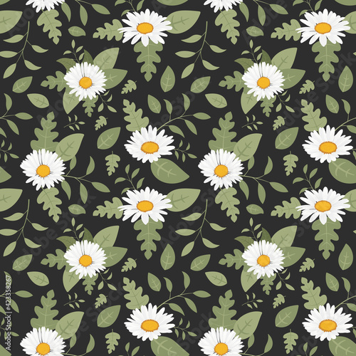 Collection daisy flower seamless pattern for print