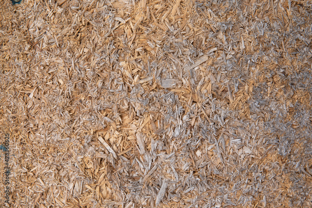 Sawdust background. Colorful background of cut trees Sawdust background. Colorful background of cut trees