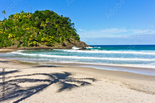 Itacare  Tropical beach view  Bahia  Brazil  South America