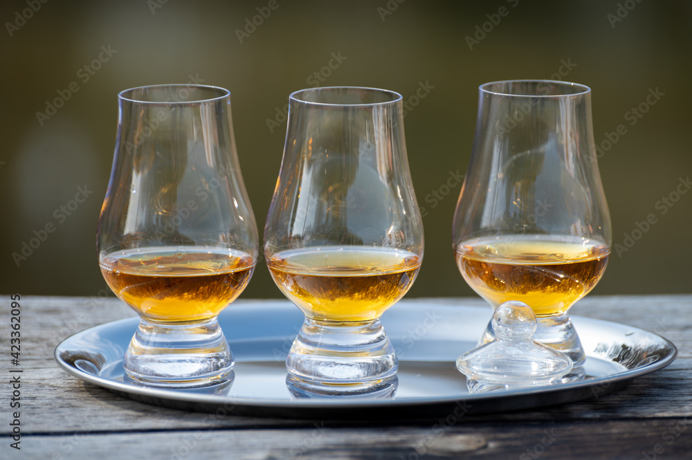 Scotch whiskey, rum, brandy nosing glass, Stock vector