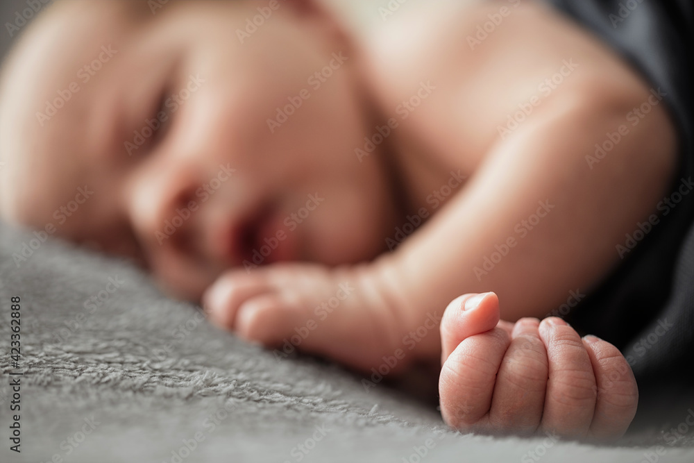 newborn baby’s hand newborn baby’s hand