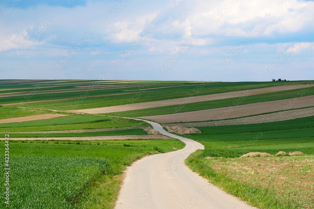 Beautiful fields in colorful stripes illuminated by the sun and a winding road between the fields around Suloszowa, Jura region, Cracow-Czestochowa Upland, Silesia, Poland