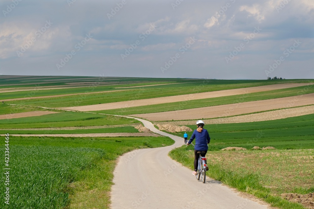 Silhouettes of cyclists on a winding road between beautiful colored fields situated on the hills Silhouettes of cyclists on a winding road between beautiful colored fields situated on the hills