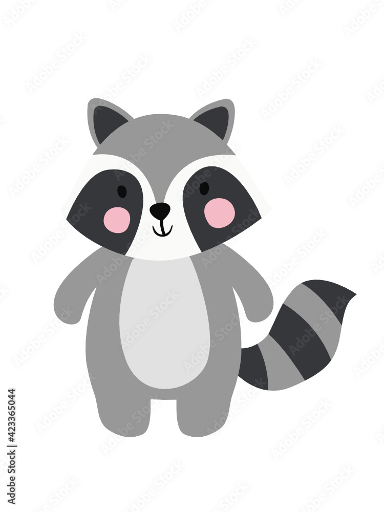 Obraz premium raccoon