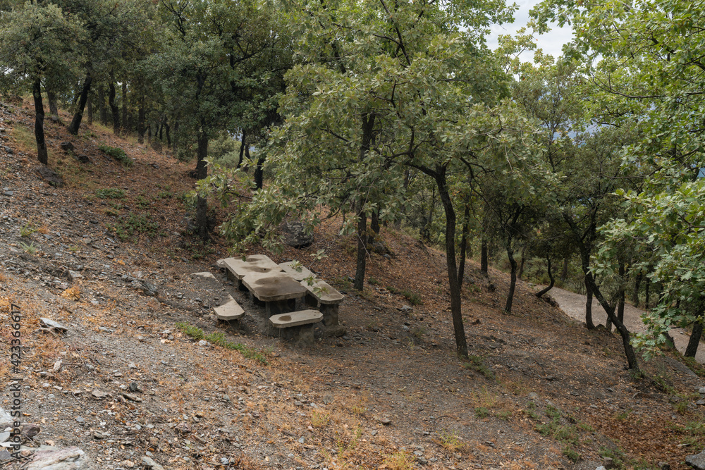 Picnic area in Sierra Nevada