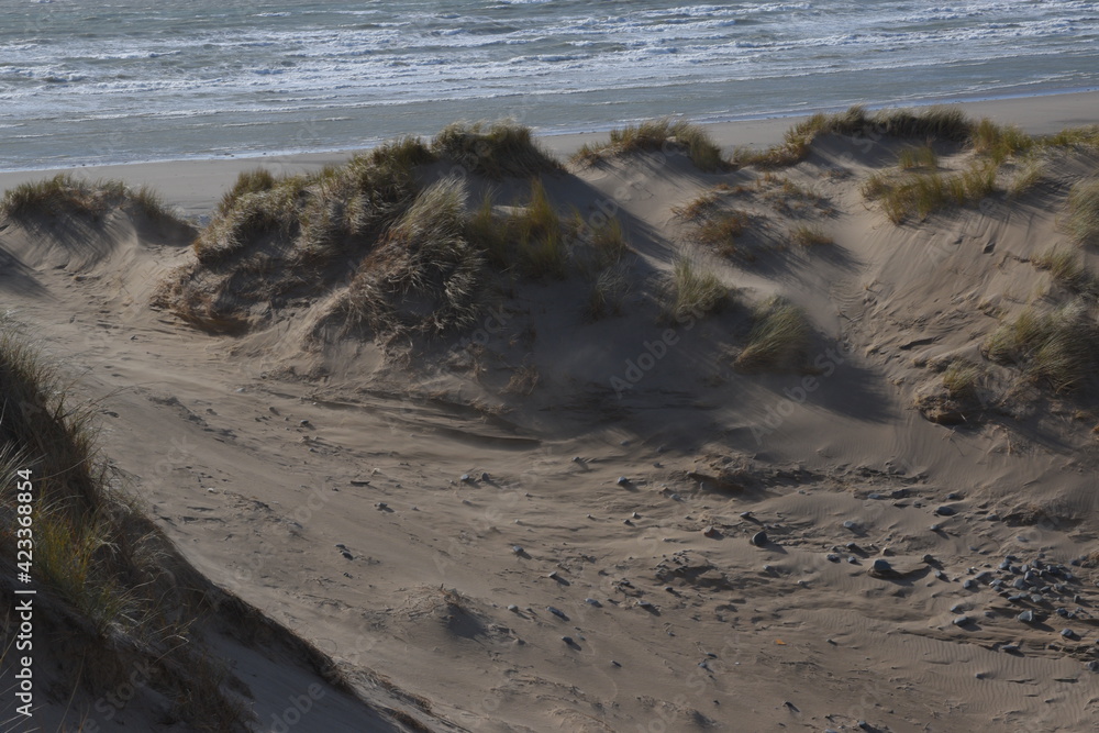 Fototapeta premium the sand dunes of ynyslas beach with the sky clear and blue