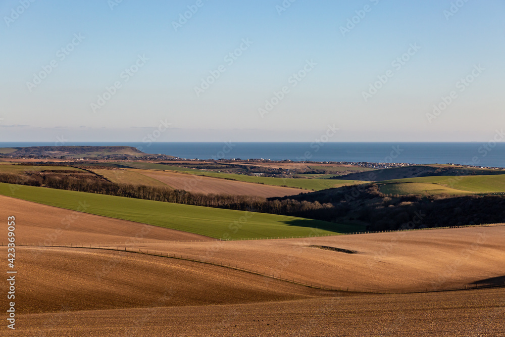 Fields and Hills of the South Downs with the Sea in the Distance