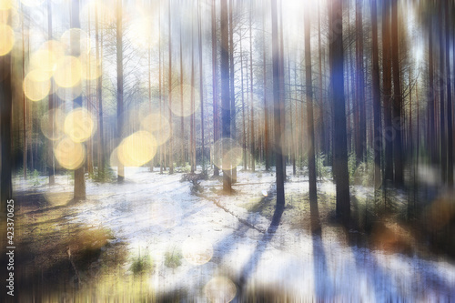 abstract seasonal landscape early spring in forest, sun rays and glare nature view