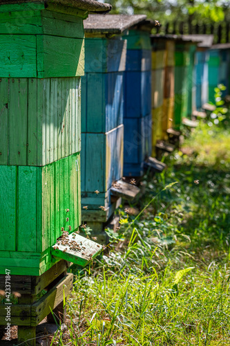 Cool beehives in a rural settlement. Natural and ecological beekeeping.