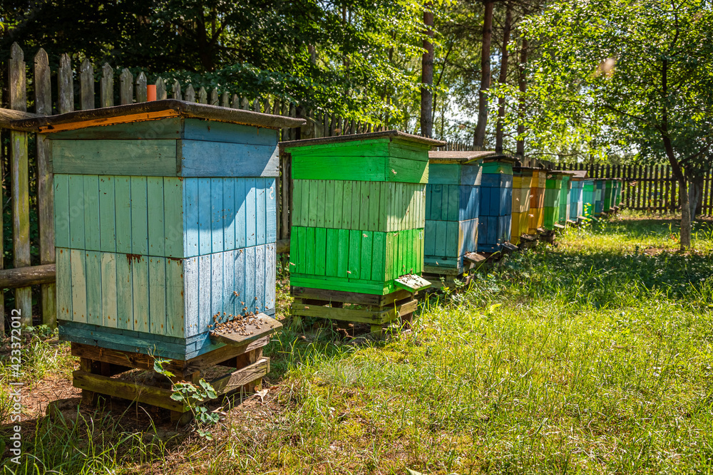 Cool beehives in the fruit orchard. Natural and ecological beekeeping. Cool beehives in the fruit orchard. Natural and ecological beekeeping.