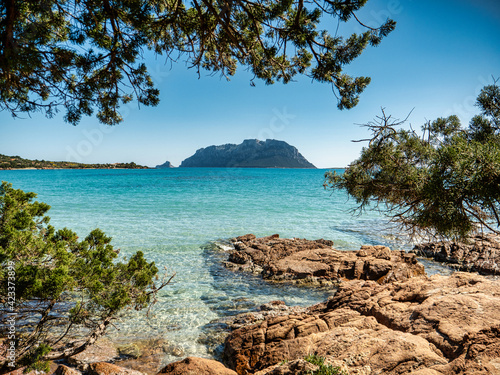 Spiaggia Mozzafiato con sfondo l'Isola di Tavolara, Sardegna
