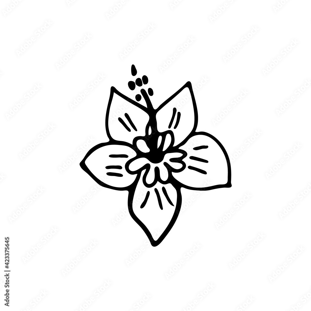 Doodle image of a tropical flower. Hand-drawn image for print, sticker, web, various designs. Vector element for the themes of travel, vacation, tourism.