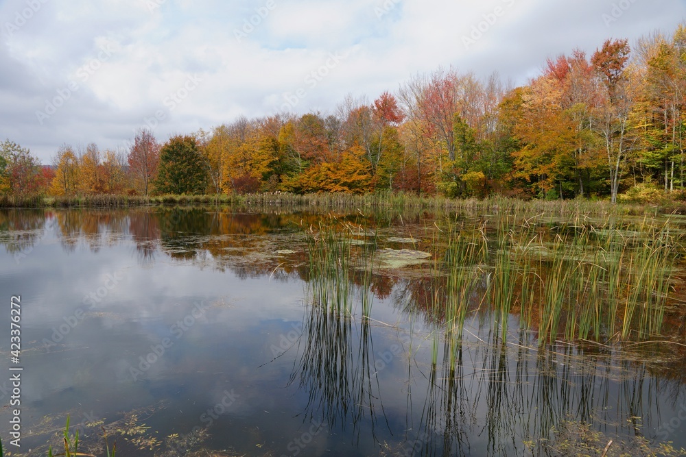 Autumn in the Catskill Mountains - Snake Pond near Andes NY Autumn in the Catskill Mountains - Snake Pond near Andes NY