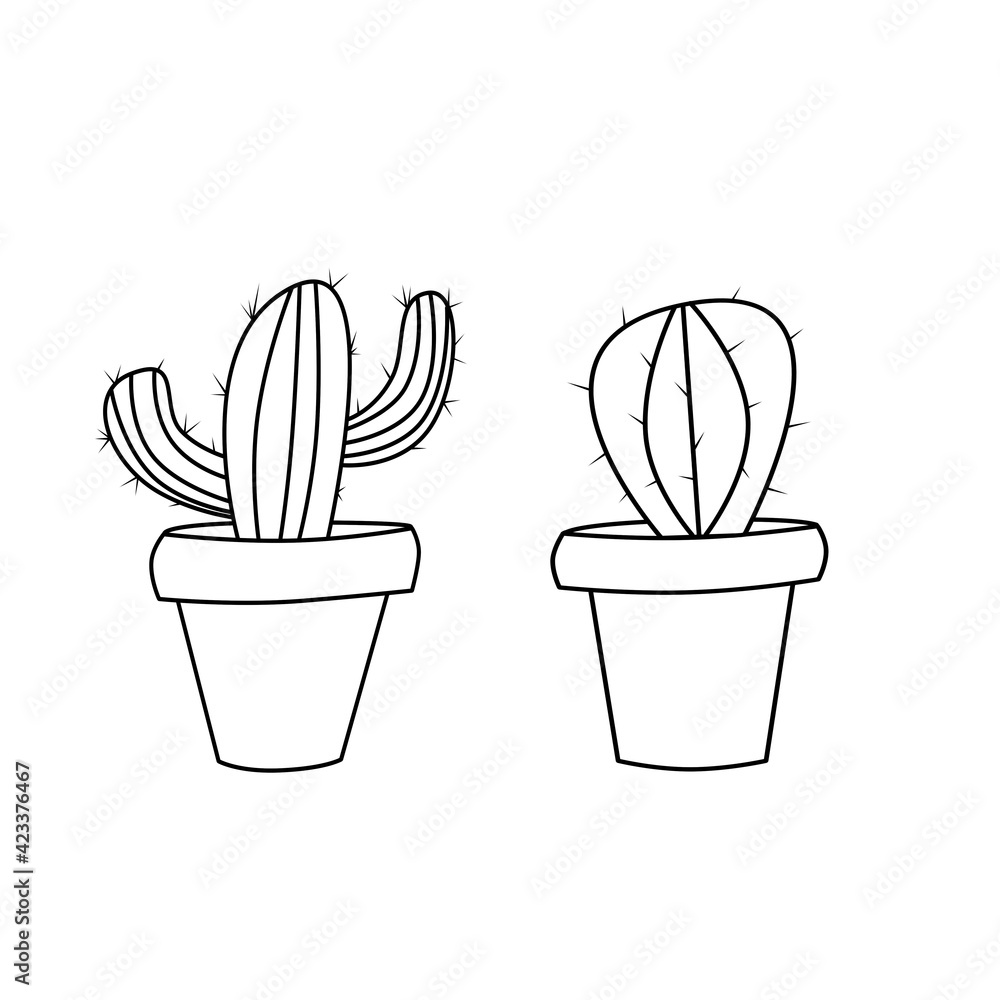 Two cactus plants in pots, houseplant, indoor plant on white background. Black and white illustration. Outline drawing. Simple flat style. Black contour..