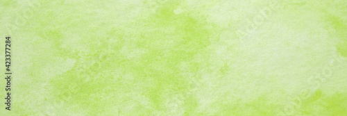 Green watercolour background, Watercolour painting soft textured on wet white paper background, Abstract green watercolor illustration banner, wallpaper
