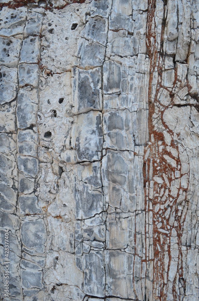 Obraz premium stone texture