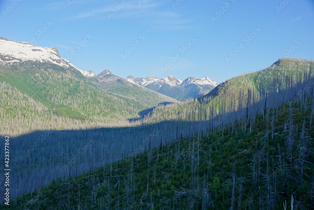 Valley in Glacier National Park in Montana USA