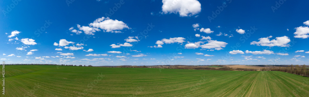 Panoramic field of grass and perfect sky
