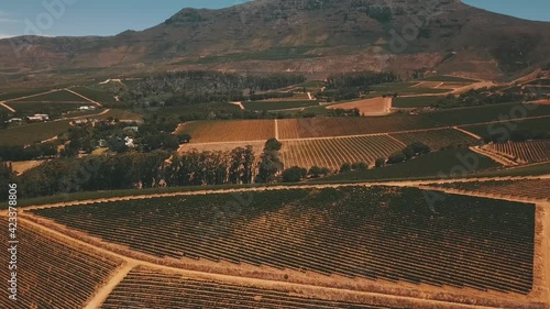 Drone shots of south african vineyards near cape town