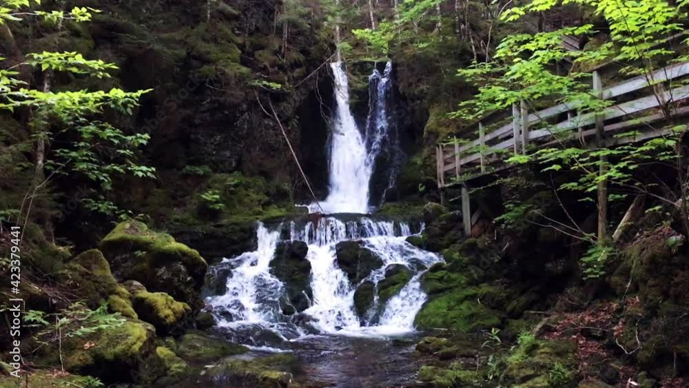 Beautiful waterfalls amidst lush green walking nature and forest trails. Dickson Falls, Fundy National Park, Alma, New Brunswick, Canada. A UNESCO global geopark biosphere. Beautiful waterfalls amidst lush green walking nature and forest trails. Dickson Falls, Fundy National Park, Alma, New Brunswick, Canada. A UNESCO global geopark biosphere.