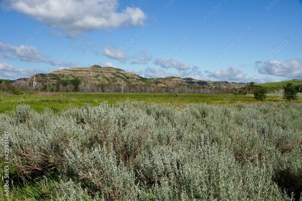 Theodore Roosevelt National Park in North Dakota USA Theodore Roosevelt National Park in North Dakota USA
