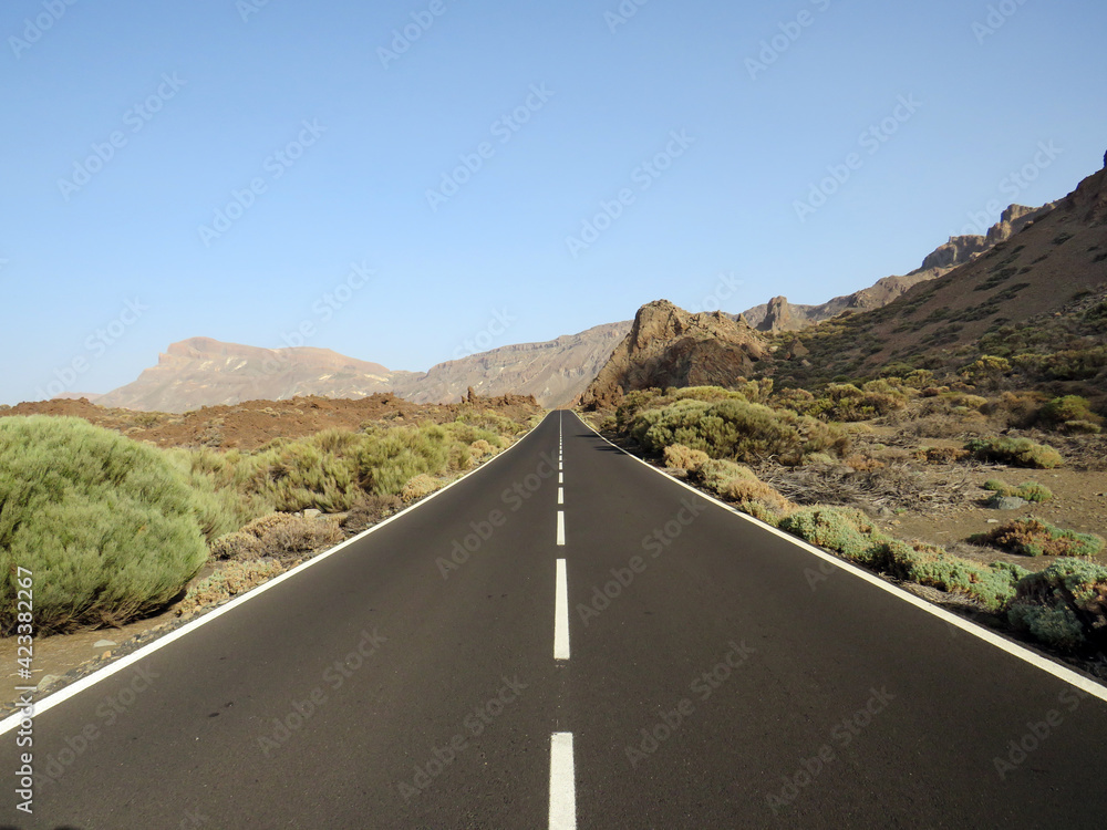 Asphalt road in high mountain landscape. Alpine landscape with bushes and peaks in sunny day. Geology and Nature pattern.