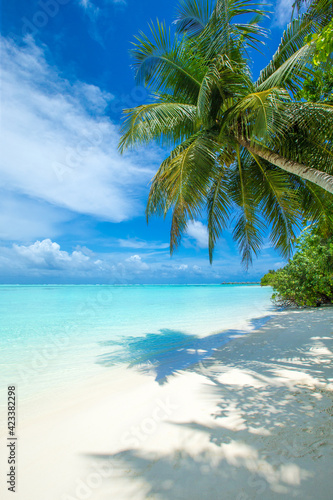 Canvastavla tropical Maldives island with white sandy beach and sea
