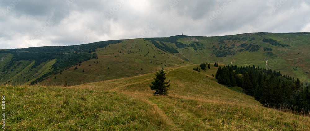 Krizna hill from surrounding of Rybovske sedlo in Velka Fatra mountains in Slovakia