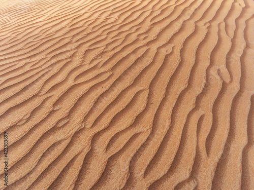 Close-up view of desert sand texture
