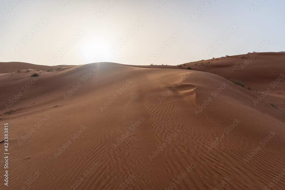 Desert landscape during the sunset