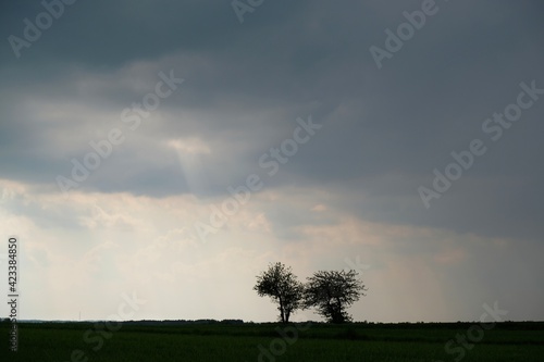 Dramatic scenery of heavy dark clouds over field with two lonely trees.