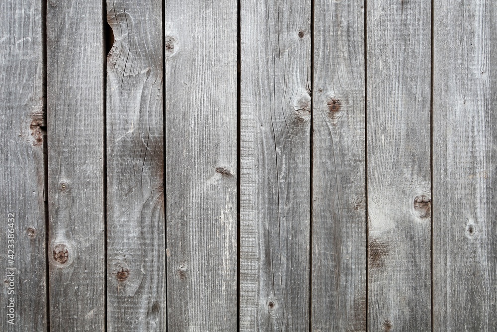 Fototapeta premium Old wood texture background