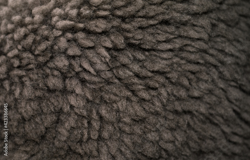 Fotografie Sheared bearskin fur.  background is made of brown matte wool