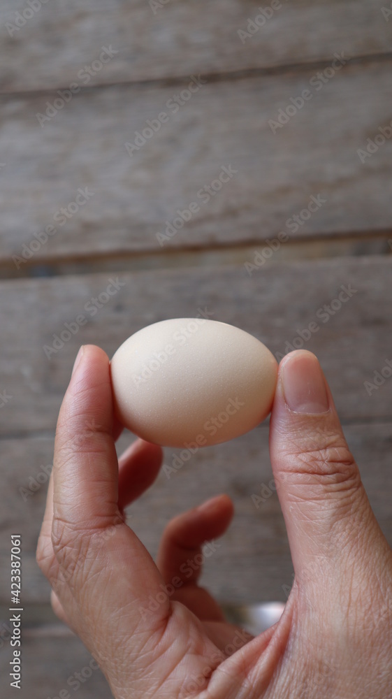 Egg in hand. Brown wooden board background for many kinds of cooking. Egg in hand. Brown wooden board background for many kinds of cooking.