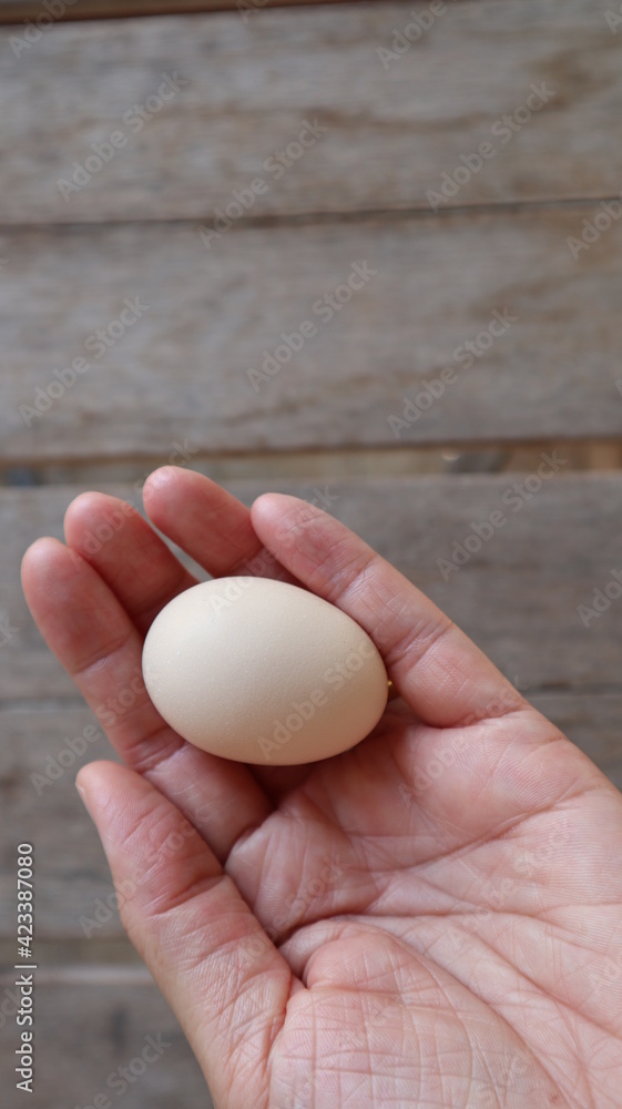 Egg in hand. Brown wooden board background for many kinds of cooking.
